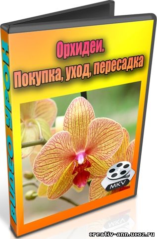 уход за орхидеей
